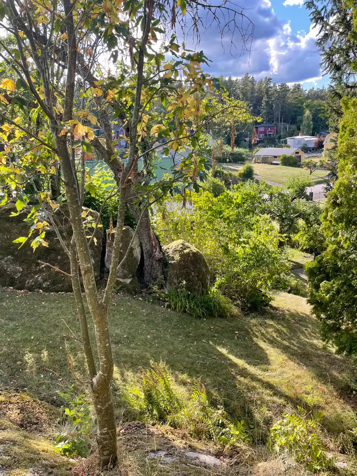 Blick aus dem Garten über Ankarsrum und den Wald
