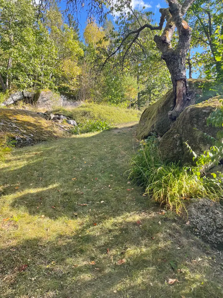 Wiese mit altem Baum und Felsen im Garten