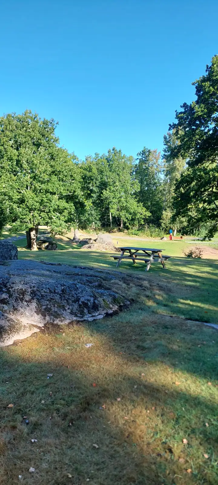 Liegewiese mit Picknicktisch am Badeplatz